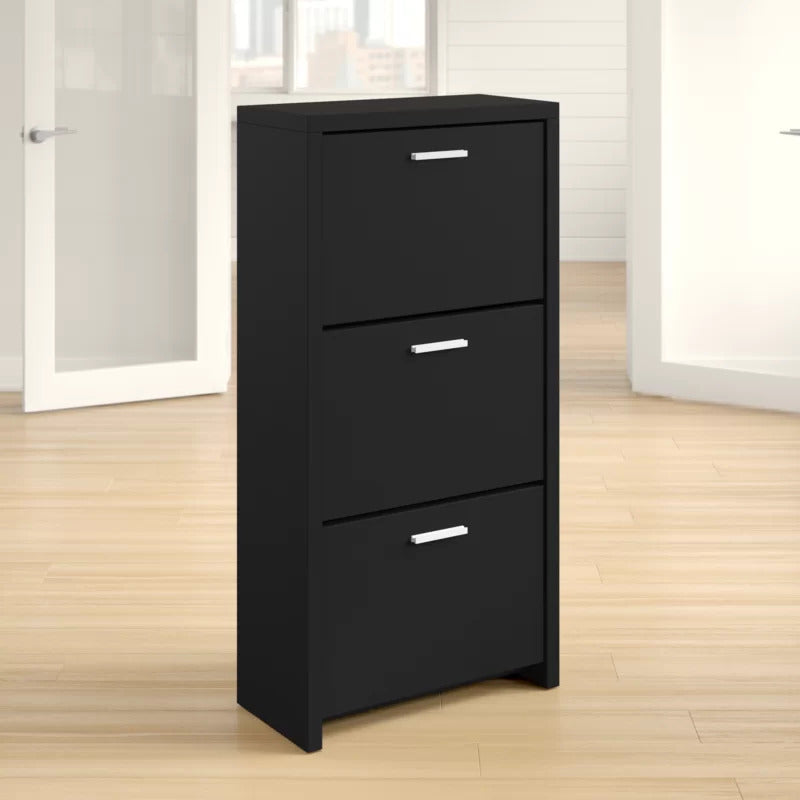 Shoe Rack: 12 Pair Shoe Storage Cabinet