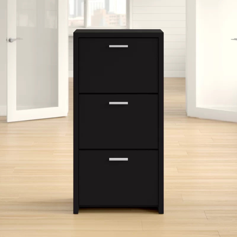 Shoe Rack: 12 Pair Shoe Storage Cabinet