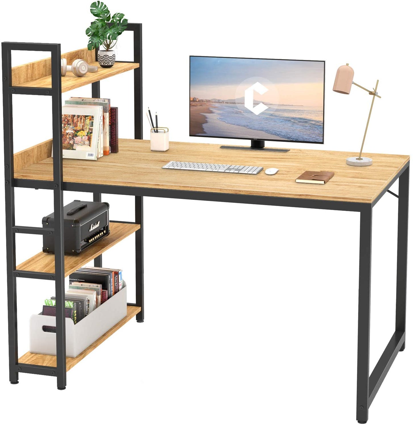 Study Table : Storage Shelves Study Writing Table for Home Office
