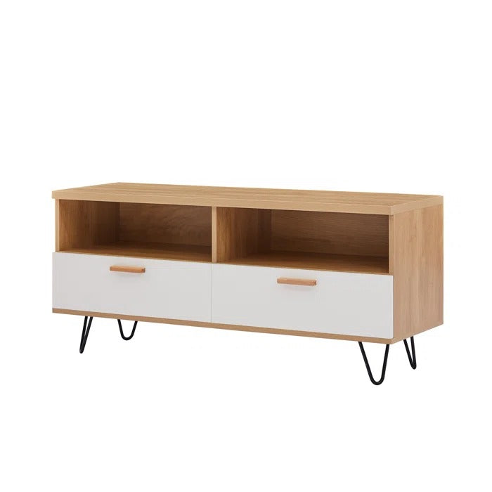 TV Panel: Modern TV Stand For TV Up To 55 In