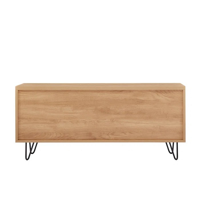 TV Panel: Modern TV Stand For TV Up To 55 In