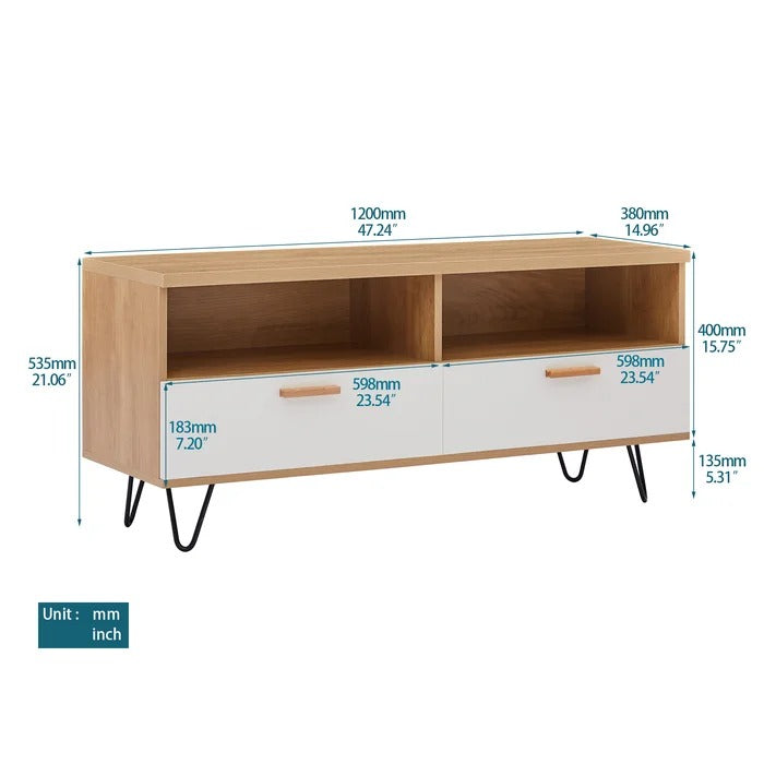 TV Panel: Modern TV Stand For TV Up To 55 In