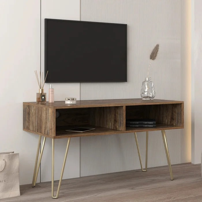 TV Panel: TV Stand for TVs up to 48"