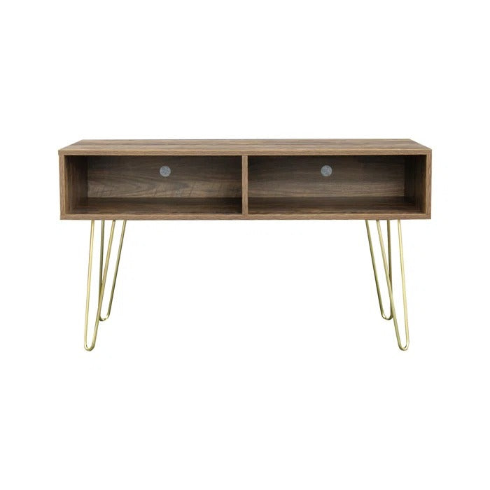 TV Panel: TV Stand for TVs up to 48"