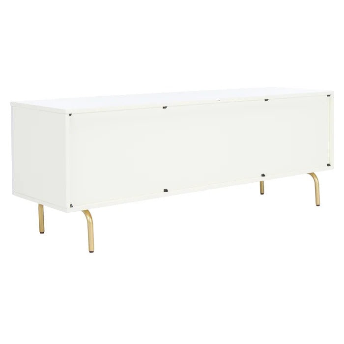 TV Panel: TV Stand for TVs up to 65"