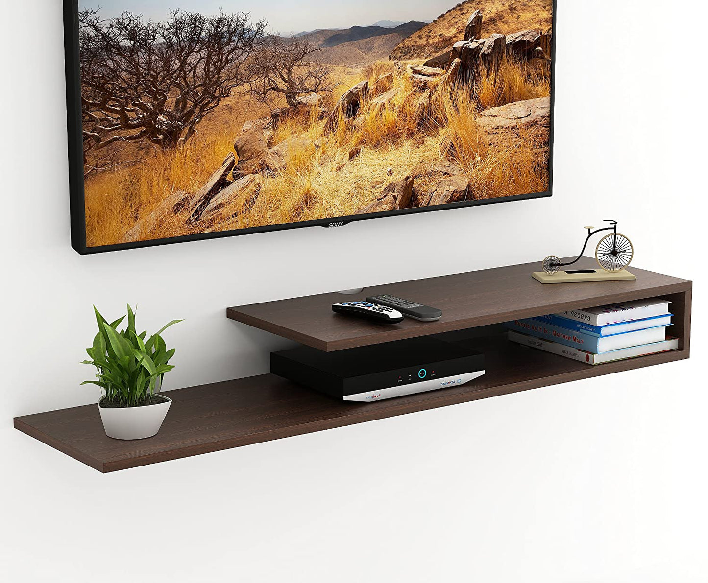 TV Stand: Sunsua TV Unit (Large, Wenge)