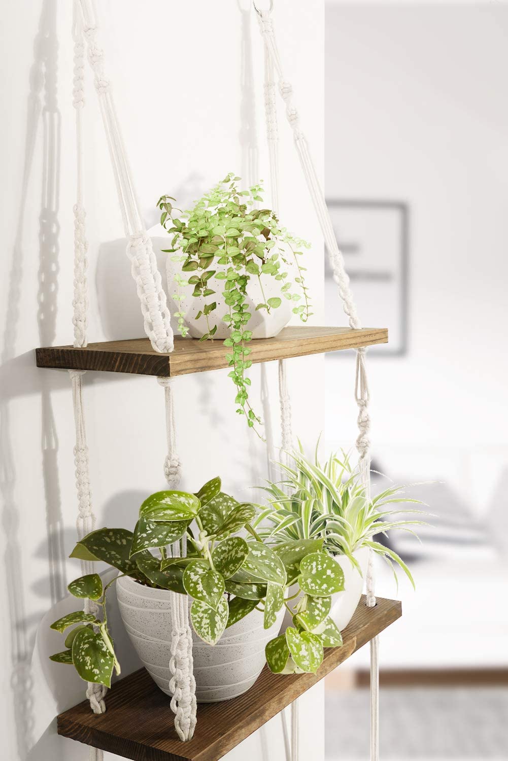 Wall Shelves Photo Frames, Small Plants, Home Decor for Bedroom, Living Room, Bathroom