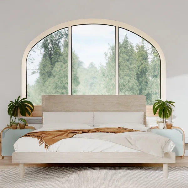 Divan Bed: Jayotli Bed
