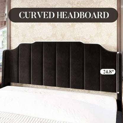 Queen Size Bed: Queen Size Modern Curved Upholstered Bed