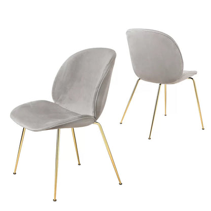 Cafe Chair: Velvet Restaurant Chair (Set of 2)