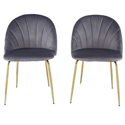 Cafe Chair: Velvet Restaurant Chair (Set of 2)
