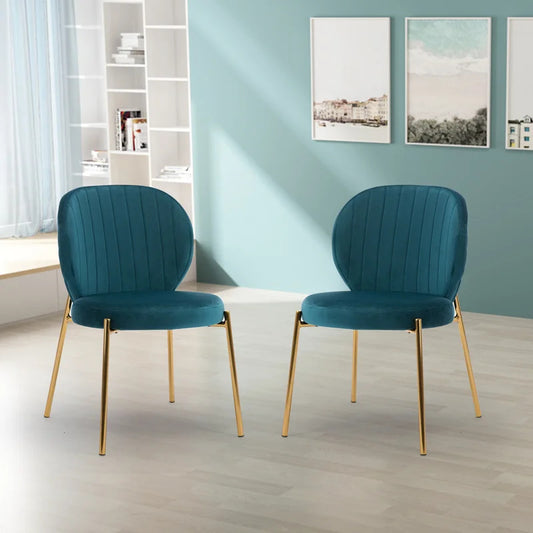 Cafe Chair: Velvet Upholstered Side, Restaurant Chair (Set of 2)
