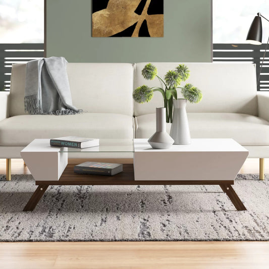 Center Table: 4 Legs Coffee Table with Storage