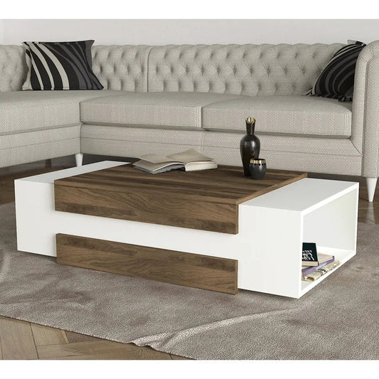 Center Table: Floor Shelf Coffee Table with Storage
