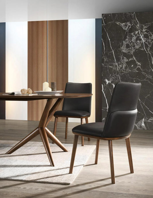  Dining Chair CARRY Modern Dining Chair(set of 2)