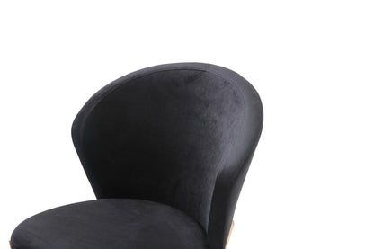 Dining Chair  DEN Modern Dining Chair (Set of 2)