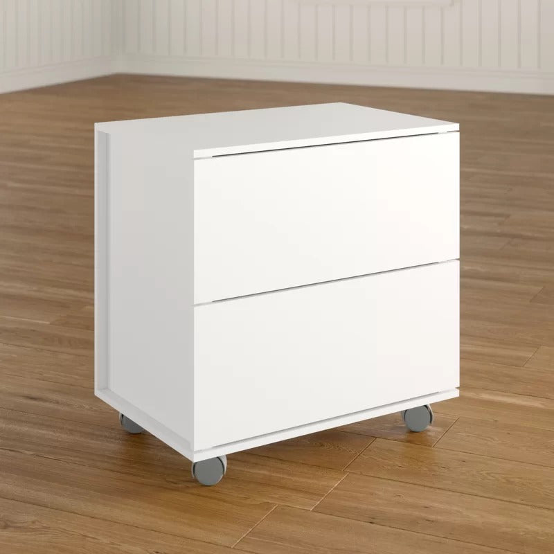 Filing Cabinet : 23.62'' Wide 2 -Drawer Mobile Lateral File Cabinet