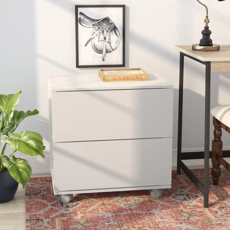 Filing Cabinet : 23.62'' Wide 2 -Drawer Mobile Lateral File Cabinet