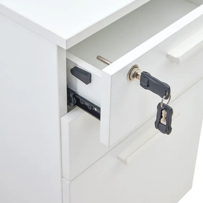 Filing Cabinet : Carry 3-Drawer Mobile Vertical File Cabinet