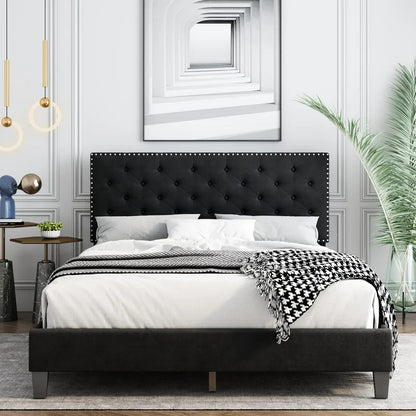 Modular Bed : Ema Tufted Low Profile Bed