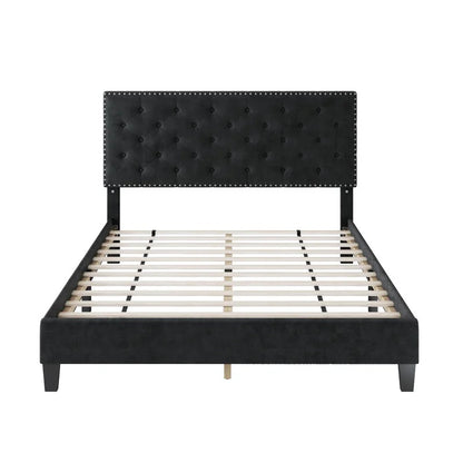 Modular Bed : Ema Tufted Low Profile Bed