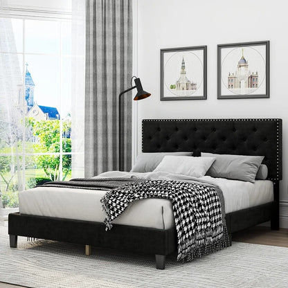 Modular Bed : Ema Tufted Low Profile Bed