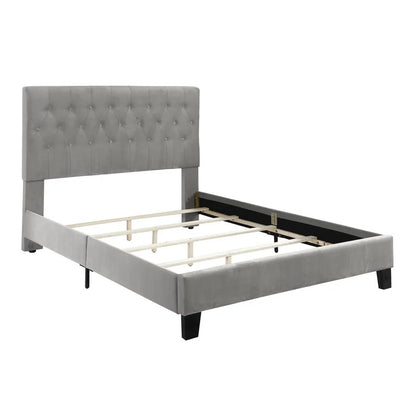 Modular Bed : Kay Tufted Upholstered Standard BedModular Bed : Kay Tufted Upholstered Standard Bed