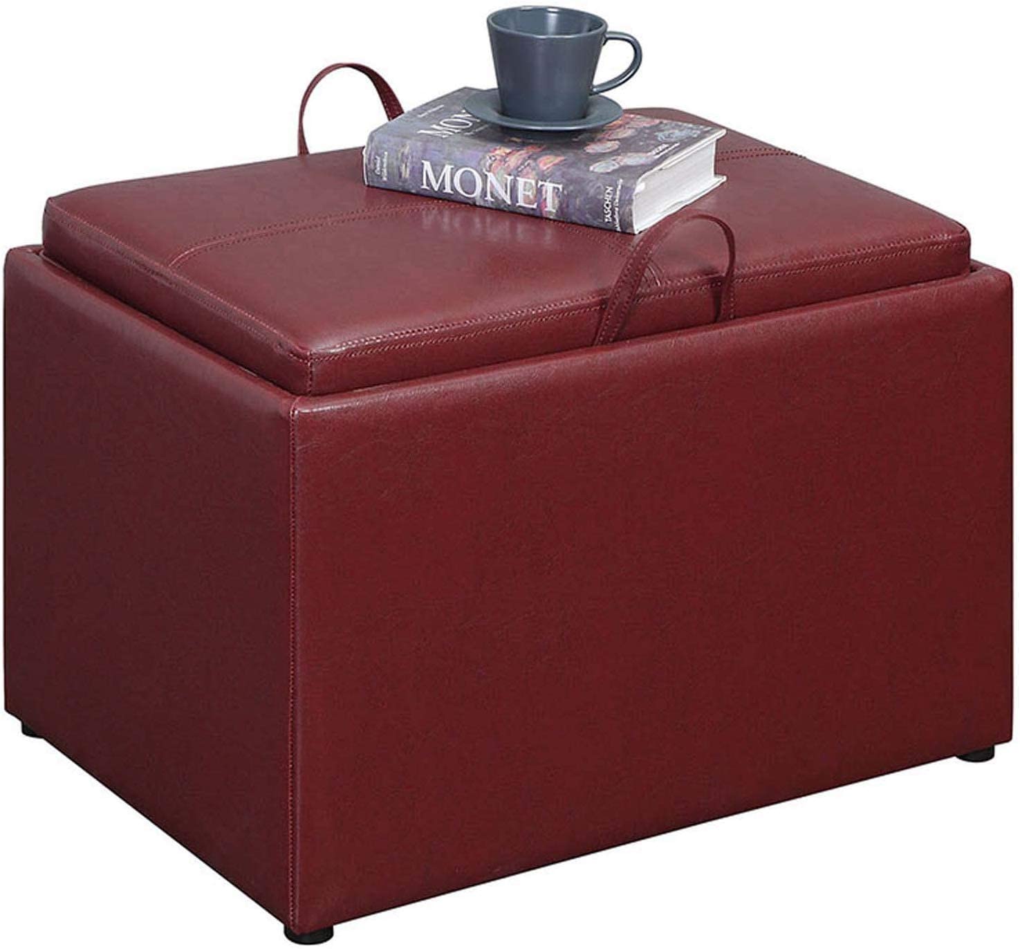 Ottomans : Designs for Comfort Accent Storage Ottoman