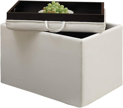 Ottomans : Designs for Comfort Accent Storage Ottoman