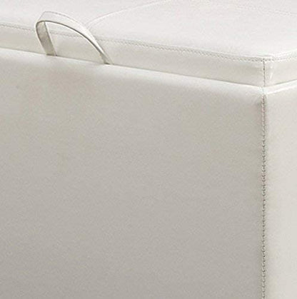 Ottomans : Designs for Comfort Accent Storage Ottoman