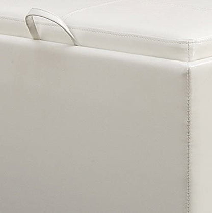 Ottomans : Designs for Comfort Accent Storage Ottoman