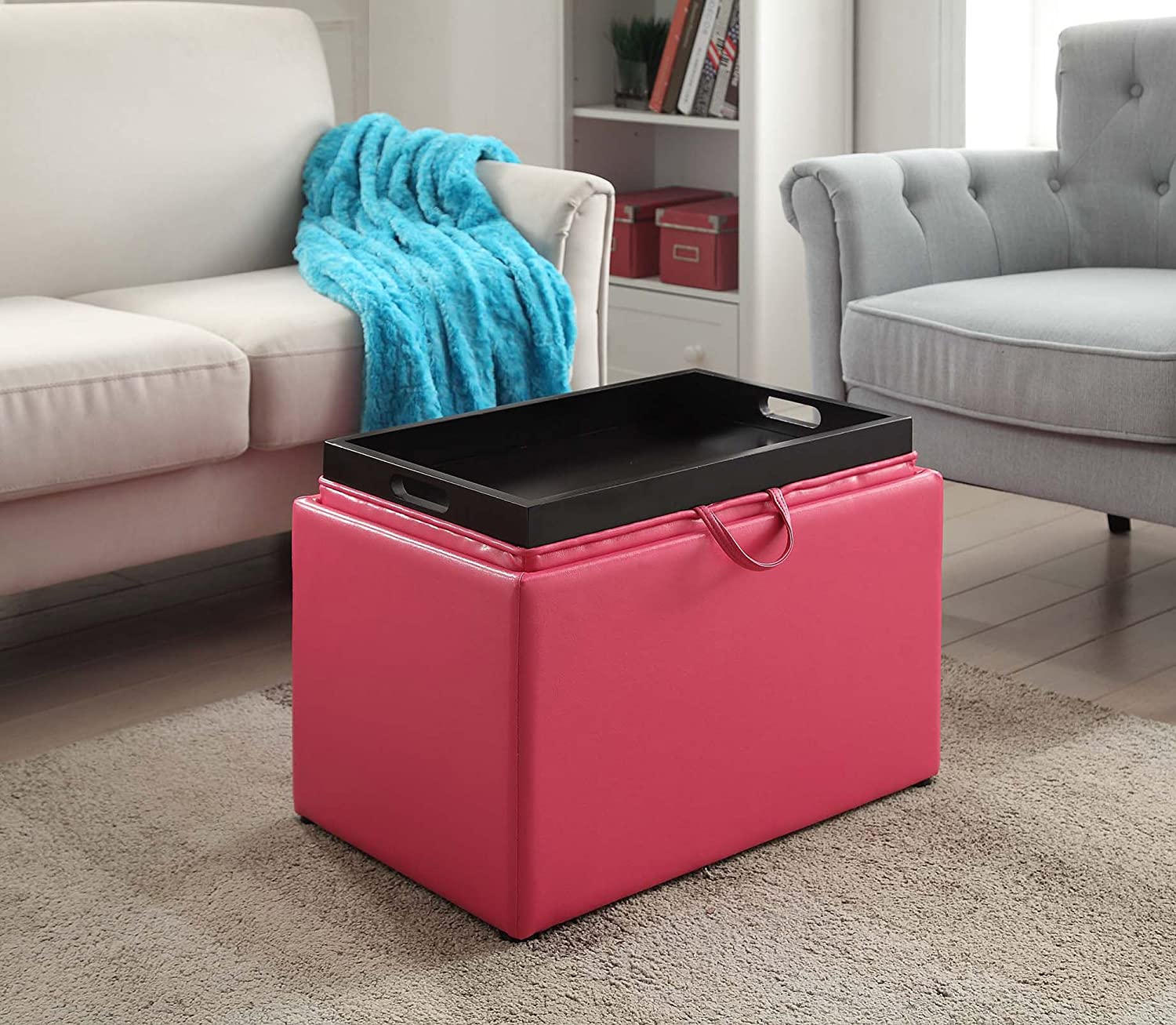Ottomans : Designs for Comfort Accent Storage Ottoman