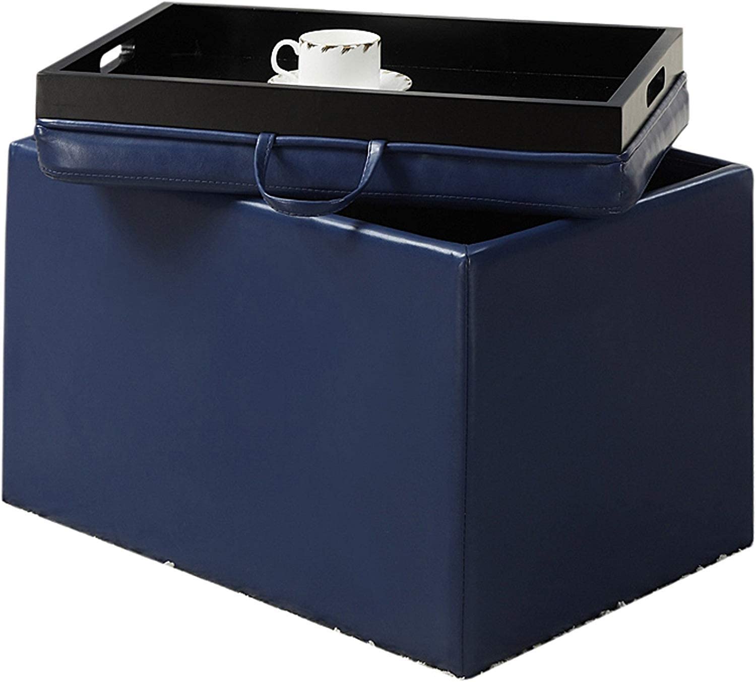 Ottomans : Designs for Comfort Accent Storage Ottoman