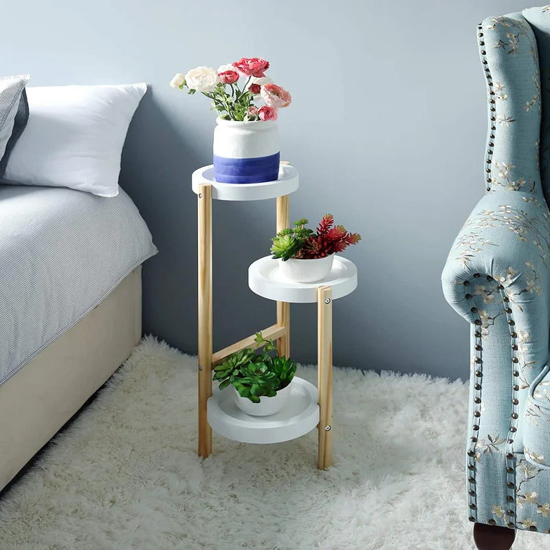 Plant Stand : Multi-Tiered Plant Stand