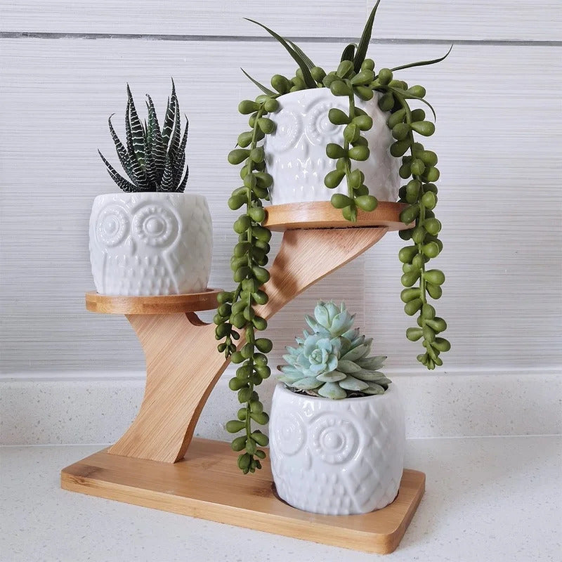 Plant Stand: Multi-Tiered Bamboo Plant Stand