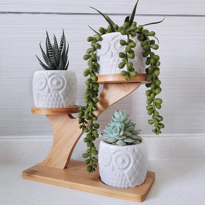 Plant Stand: Multi-Tiered Bamboo Plant Stand