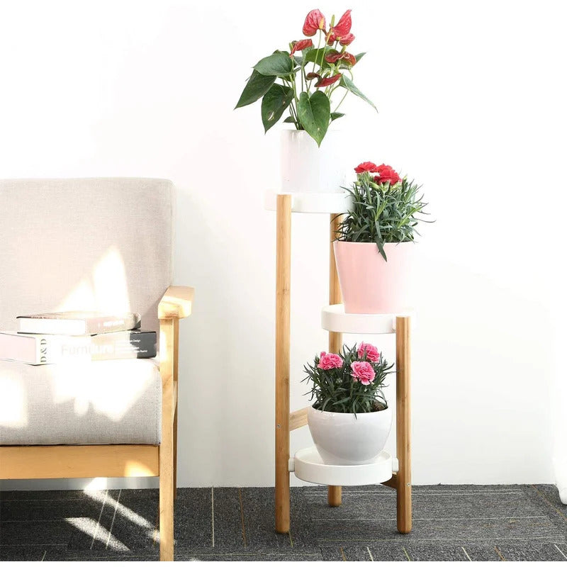 Plant Stand : Multi-Tiered Plant Stand