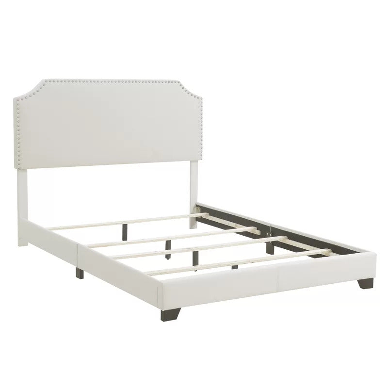 Queen Size Bed : Upholstered Standard Bed