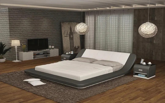 Queen Size : Modern Leatherette Beds