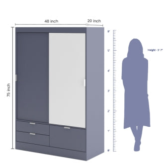 Wardrobe : 2 Door Wardrobe (In Grey Finish)