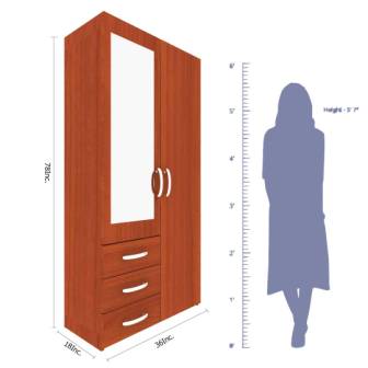 Wardrobe 2 Door Wardrobe (In Nayana Teak)