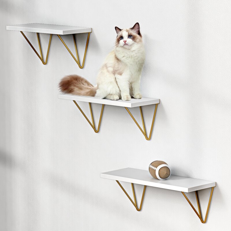 kitchen Shelves : 3 Piece Floating Shelf (Set of 3)